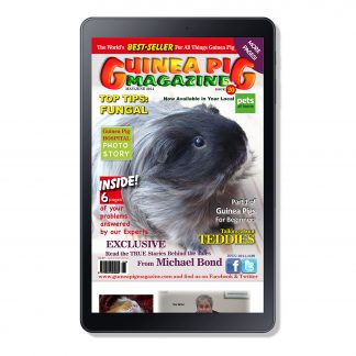 Cover Issue 20 Digital