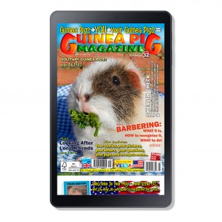 Cover Issue 32 Digital