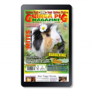 Cover Issue 33 Digital