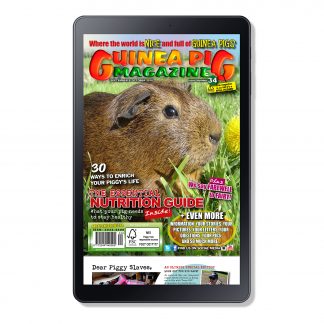 Cover Issue 34 Digital