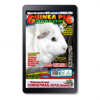 Cover Issue 35 Digital