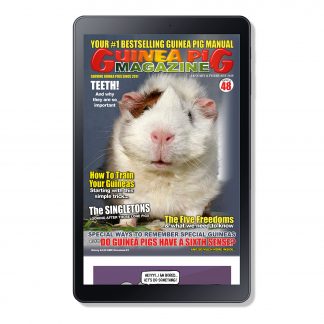 Issue 48 - DIGITAL ONLY