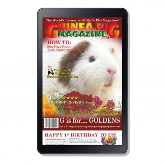 Issue 7 - DIGITAL ONLY