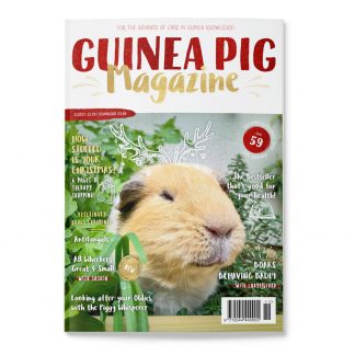 What Happens As Guinea Pigs Age?