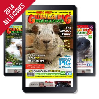 2014 BUNDLE OFFER: Issue 18-23 - DIGITAL ONLY