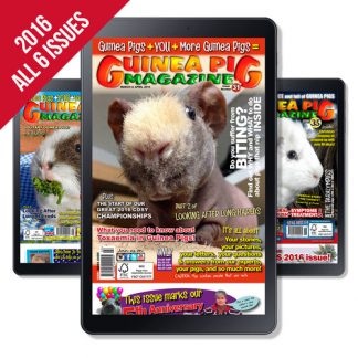 2016 BUNDLE OFFER: Issue 30-35 - DIGITAL ONLY