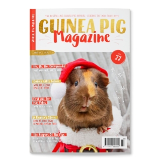 Issue 77 - PRINT ONLY