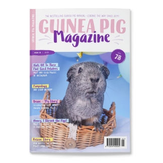 Issue 78 - PRINT ONLY