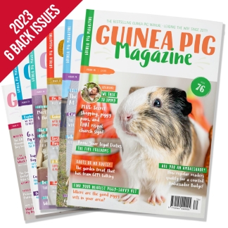 Back Issues Collection (6 issues) 2023