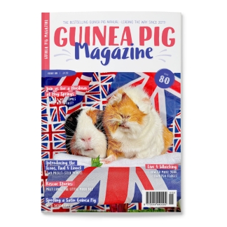 Issue 80 - PRINT ONLY