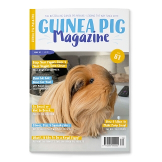 Issue 81 - PRINT ONLY