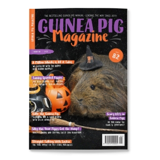 Issue 82 - PRINT ONLY