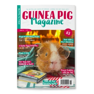 Issue 83 - PRINT ONLY