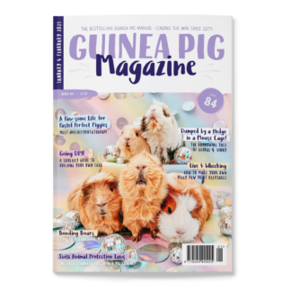 Issue 84 - PRINT ONLY