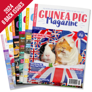 Back Issues Collection (6 issues) 2024