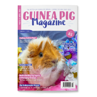 Issue 85 - PRINT ONLY