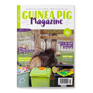Issue 86 - PRINT ONLY