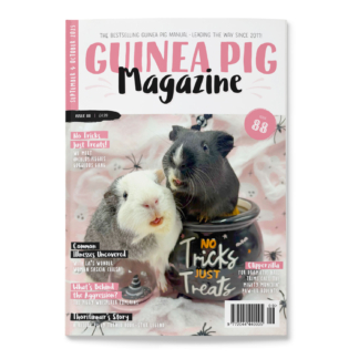 Issue 88 - PRINT ONLY