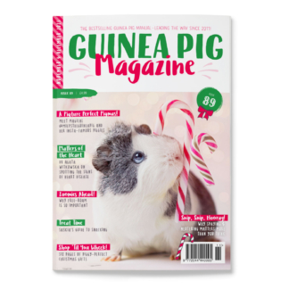 Issue 89 - PRINT ONLY