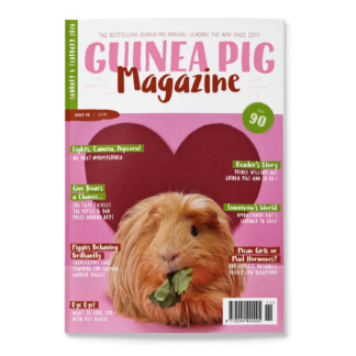 Issue 90 - PRINT ONLY
