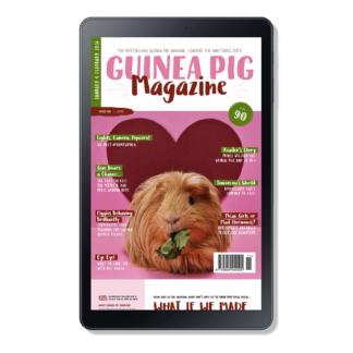 Issue 90 - DIGITAL ONLY