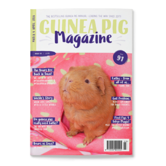 Issue 91 - PRINT ONLY