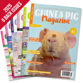 Back Issues Collection (6 issues) 2025