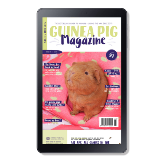 Issue 91 - DIGITAL ONLY