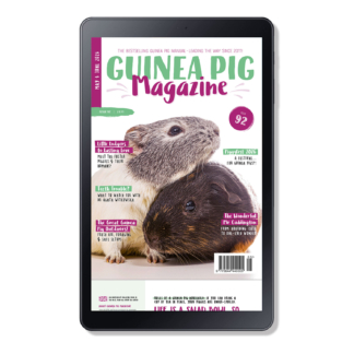 Issue 92 - DIGITAL ONLY