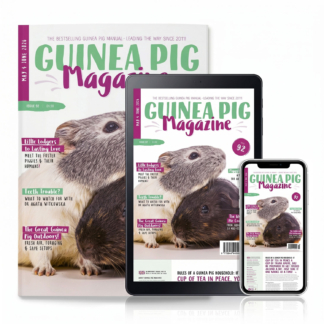 Magazine Subscription