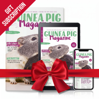 Gift Magazine Subscription - 6 Issues