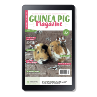 Issue 94 - DIGITAL ONLY