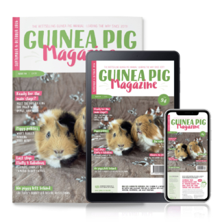 Magazine Subscription