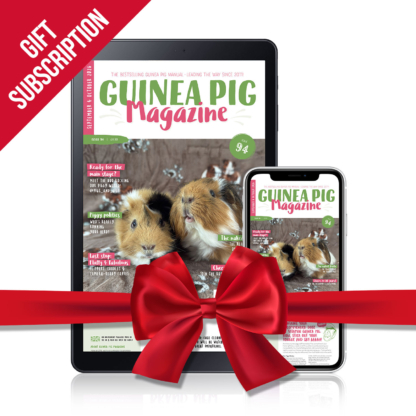 GPM_Digital_GIFT_94