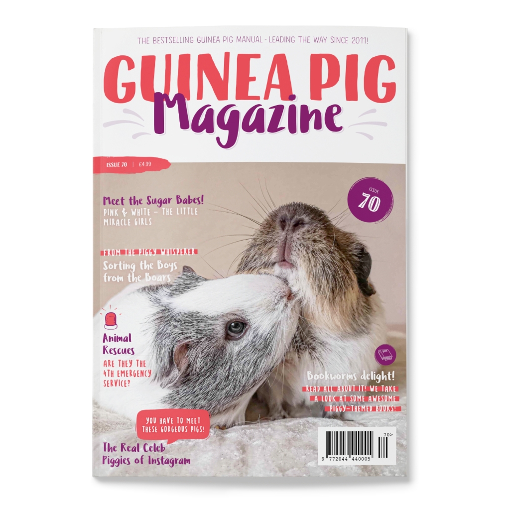 Front Cover of Guinea Pig Magazine Issue 70